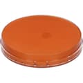 Tiger (shimmer)