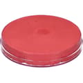 Flamingo (shimmer)