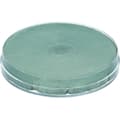 Seashell (shimmer)