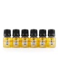 Mastix 9 ml. (Temporary packaging)