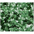 SPRING GREEN Biodegradable Face- and Bodyglitter Chunky Mix 6ml.