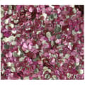 ROSE PETALS Biodegradable Face- and Bodyglitter Chunky Mix 6ml.
