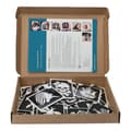 PRO Kit Professional Kit for Glitter Tattoos