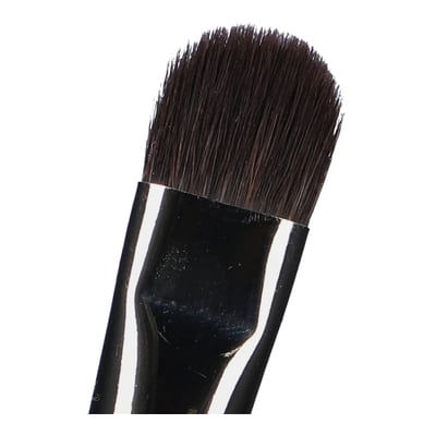Matteo Arfanotti #8 (Blending Brush)