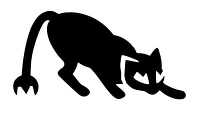 Scary Cat
