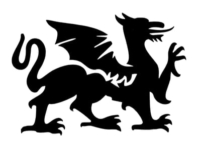 Dragon Medieval