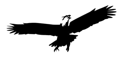 Flying Eagle