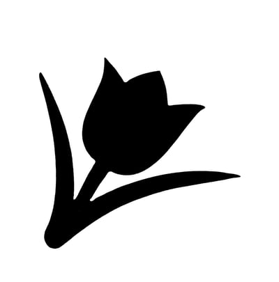 Spring Tulip