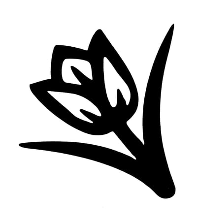 Tulip