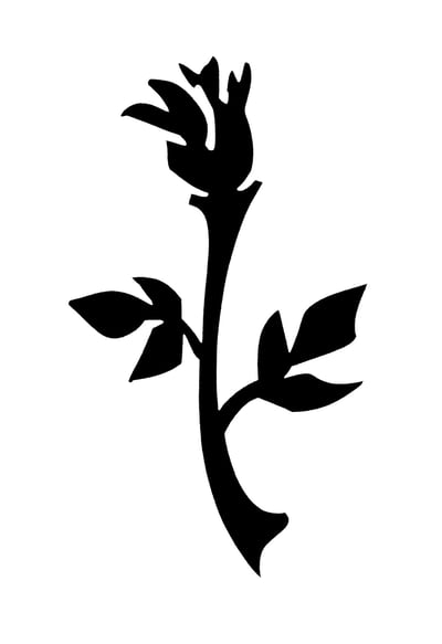 Rosetip