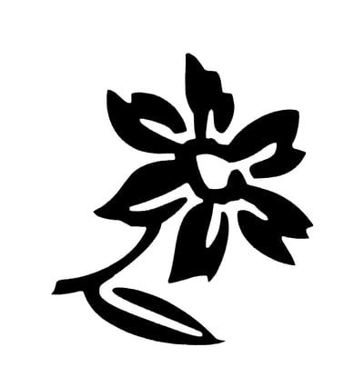 Dafodille