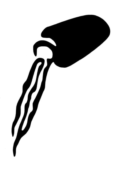 Aquarius