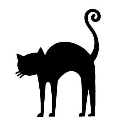Spooky Cat
