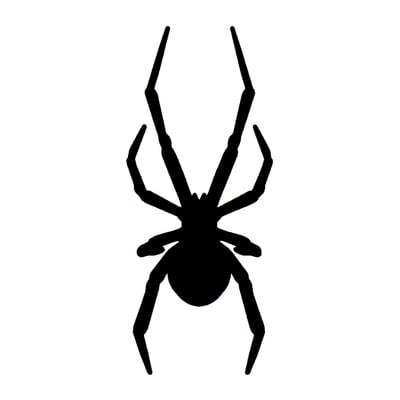 Black Widow Spider