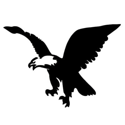 Sea Eagle