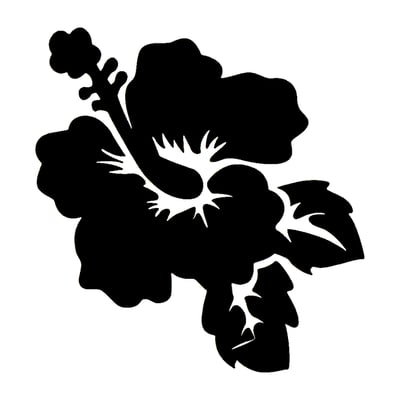 Hibiscus