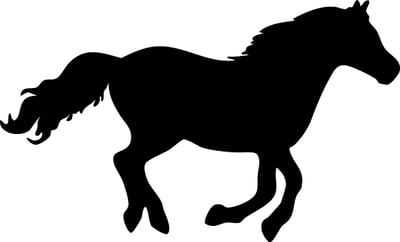 Horse Galopante