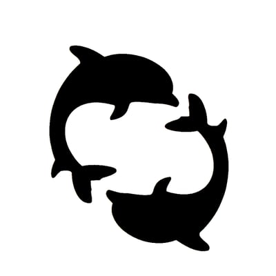 Dolphin Duo