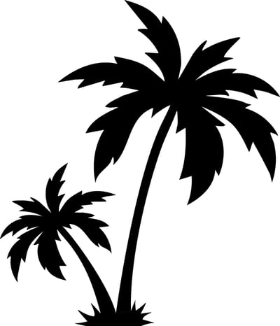 Palm Tree