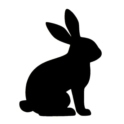 Bunny Bright