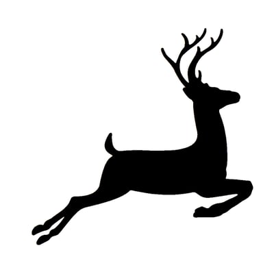 Reindeer
