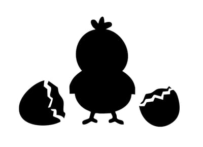 Cracked Egg Chick