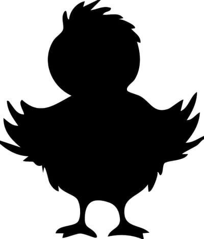 Little Chick