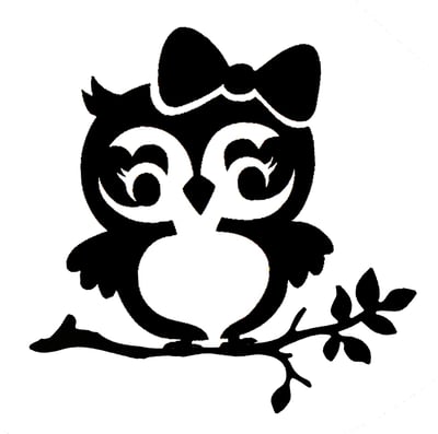 Little Lady Owl