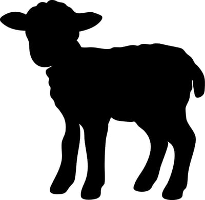 Sweet Lamb