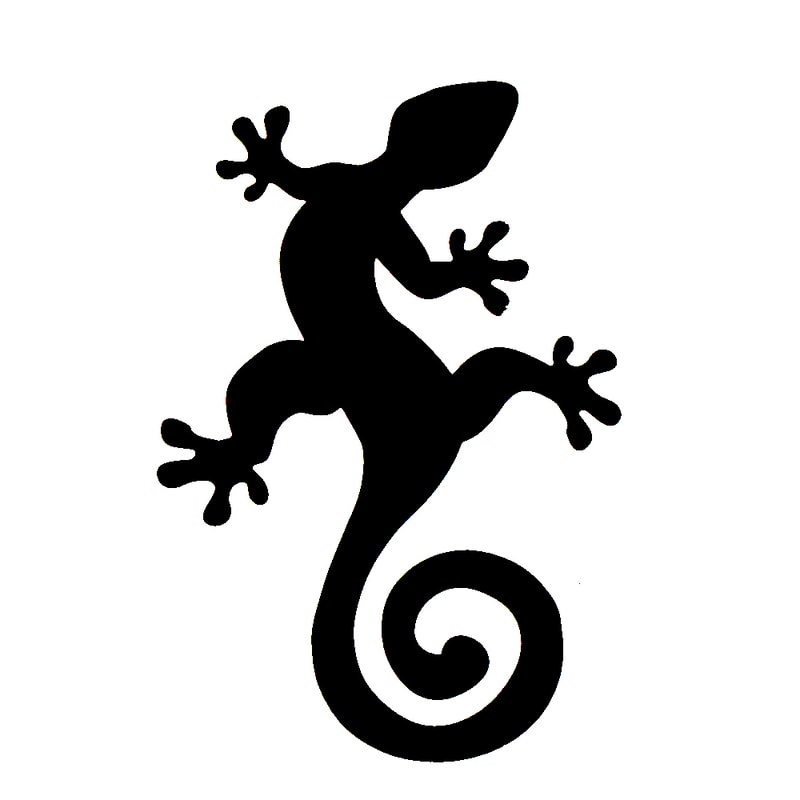 Gecko
