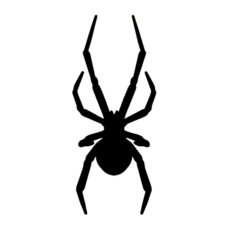Black Widow Spider