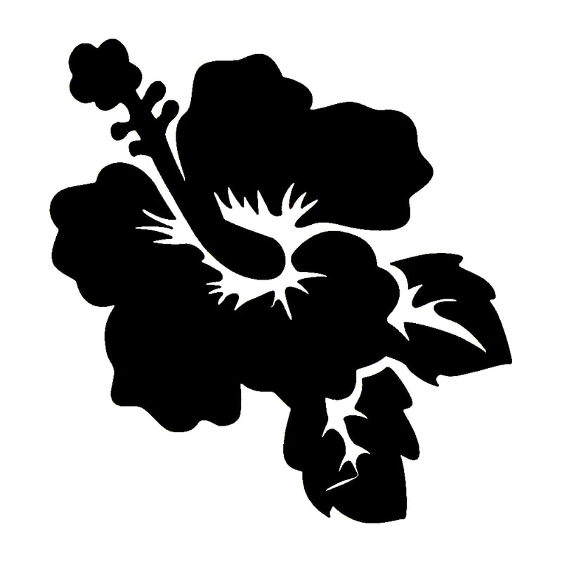 Hibiscus
