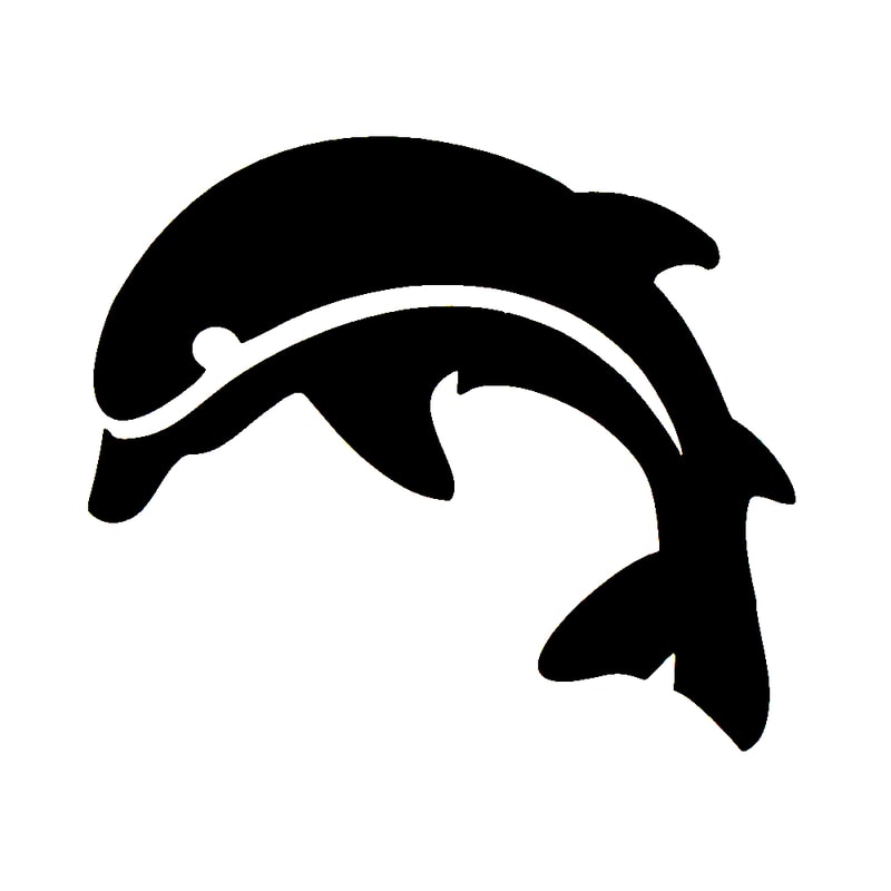 Dolphin Jump