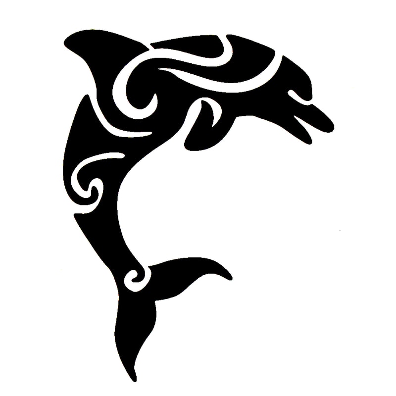 Dolphin Hawaii