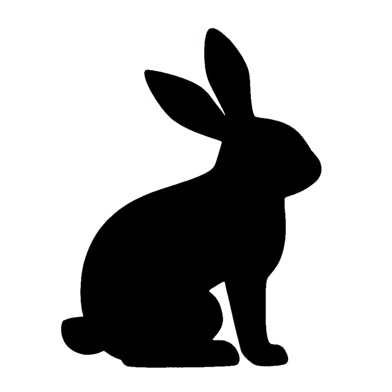 Bunny Bright