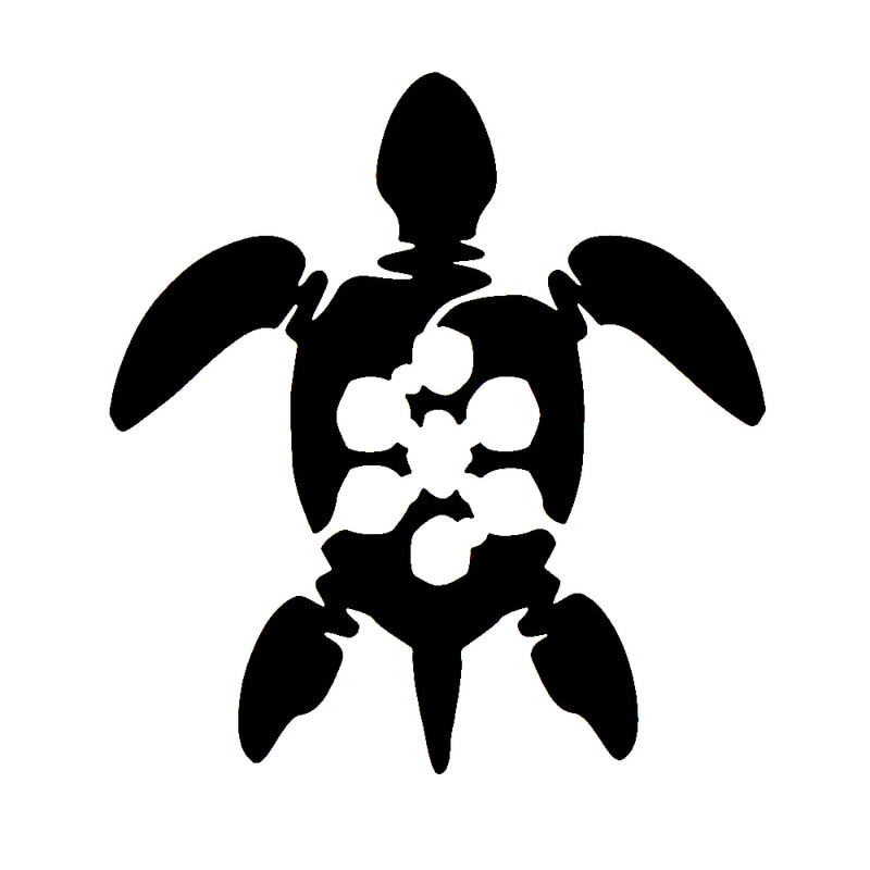 Cute Turtle