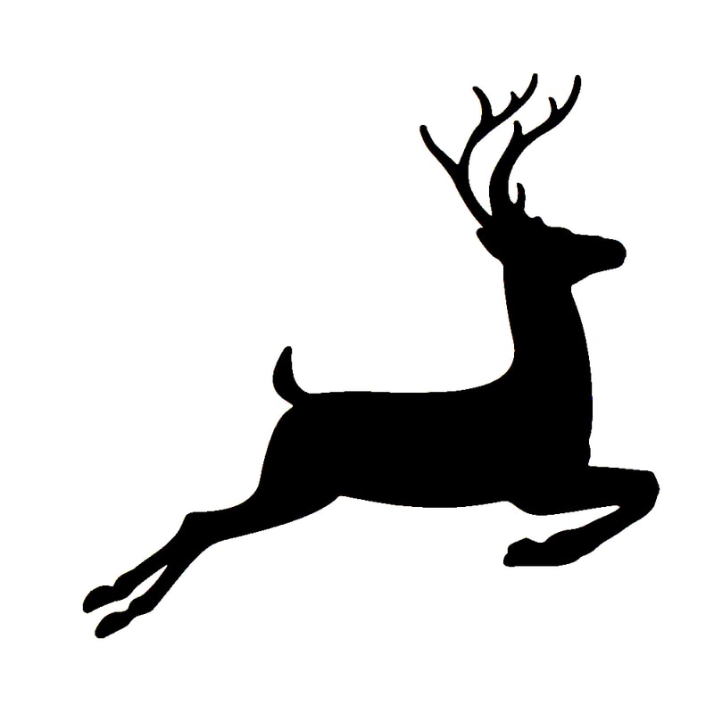 Reindeer
