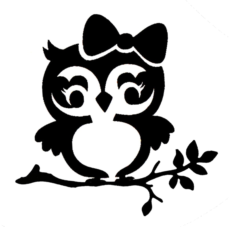 Little Lady Owl